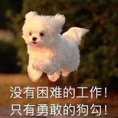 个人头像