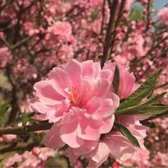 个人头像