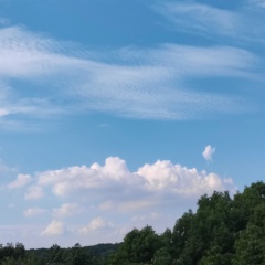個人頭像