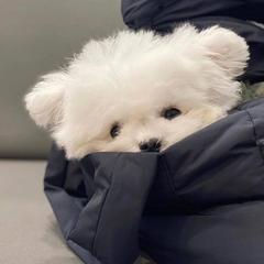 個人頭像