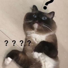 個人頭像