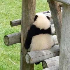 个人头像