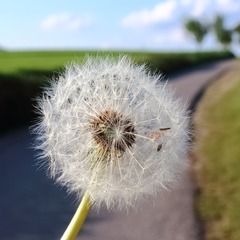 個人頭像