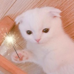 個人頭像