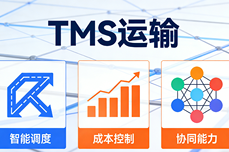 TMS系统十大品牌综合测评:智能调度、成本控制与<dptag>协</dptag><dptag>同</dptag>能力谁更强?