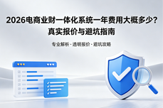 2026电商业财一体化<dptag>系</dptag><dptag>统</dptag>一年费用<dptag>大</dptag>概多少？真实报价与避坑指南