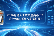 2026仓储人<dptag>工</dptag><dptag>成</dptag><dptag>本</dptag>居高不下？这个WMS系统少花冤枉钱！