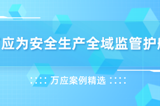 万应案例精选｜抓紧抓实抓细，万应为<dptag>安</dptag><dptag>全</dptag>生产<dptag>全</dptag>域监管护航