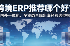 跨境<dptag>ERP</dptag>推荐哪个好？国内<dptag>外</dptag>一体化、多业态合规出海经营选型指南