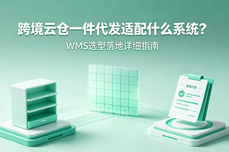 跨境云仓一件代发适配什么<dptag>系</dptag><dptag>统</dptag>？WMS 选<dptag>型</dptag>落地详细指南