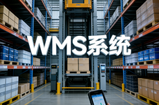 2025-2026WMS系统怎么选不踩坑？五大主流WMS核心<dptag>测</dptag>评