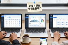 <dptag>企</dptag><dptag>业</dptag>有哪些管理<dptag>软</dptag><dptag>件</dptag>？从销售到<dptag>财</dptag><dptag>务</dptag>的全链路数字化方案