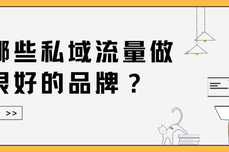 有哪些私域流量做得很好的品牌？快来学习！