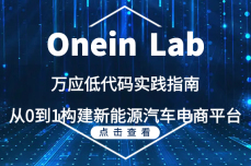 Onein Lab | 万应低代码实践指南，从0到1构建新<dptag>能</dptag>源<dptag>汽</dptag><dptag>车</dptag>电商平台