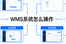 WMS<dptag>系</dptag><dptag>统</dptag>怎么<dptag>操</dptag><dptag>作</dptag>？仓储实<dptag>操</dptag>不踩坑指南