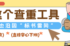 投标人自述：用了这个查重工具后，我再也没因“标书雷同”熬过夜
