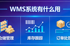 WMS<dptag>系</dptag><dptag>统</dptag>有什么用？全场景实用指南