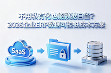 不用<dptag>私</dptag><dptag>有</dptag>化也能数据自留？2026<dptag>企</dptag><dptag>业</dptag>ERP数据可控低成本方案