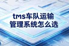 TMS车队运输管理系统怎么选？2026年选型指南