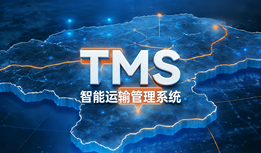 2026物流运输低效？TMS系统如何破局降本？