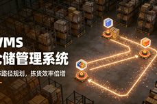 WMS仓储管理<dptag>系</dptag><dptag>统</dptag>哪个好?2025口碑与实<dptag>力</dptag>俱佳的前十名榜单