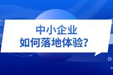 中小企业如何跨越“数<dptag>字</dptag>化鸿沟”、实现客户<dptag>体</dptag>验落地？