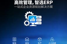 <dptag>ERP</dptag>系统多少钱一套?影响<dptag>价</dptag><dptag>格</dptag>的因素都有哪些?