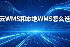 云WMS和本地WMS怎么选？2026深度分析攻略