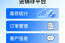 2025进<dptag>销</dptag>存系统盘点，如何选择适<dptag>合</dptag>你的系统？