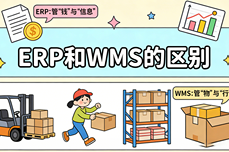 ERP和WMS的<dptag>区</dptag>别，哪个更重要？<dptag>企</dptag><dptag>业</dptag>选型的核心决策指南