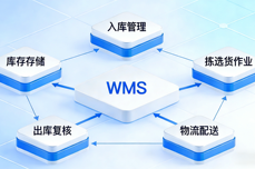 仓储混乱、拣货慢、错发<dptag>多</dptag>?一<dptag>文</dptag>告诉你为什么我们需要WMS系统