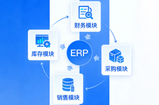 0基础团队怎么快速上线<dptag>ERP</dptag>？弄明白这五<dptag>点</dptag>就够！