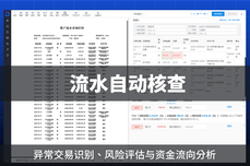 大模型在银行流水核查与防范财务作假中的作用