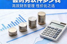 一套<dptag>财</dptag><dptag>务</dptag>软件多少钱？国内主流<dptag>ERP</dptag>软件价格对比与选择指南