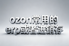 Ozon<dptag>平</dptag><dptag>台</dptag>常用<dptag>ERP</dptag>/进销存系统选型推荐