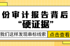 招投标审计围串标核查神器!火眼审阅精准锁定隐蔽线索