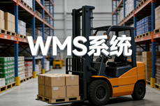 2025-2026WMS<dptag>系</dptag><dptag>统</dptag>科学选<dptag>型</dptag>指南：电商/跨境/医药全场景适配，降本增效落地首选