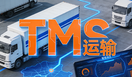 2025TMS运输管理系统综合实力前十名盘点