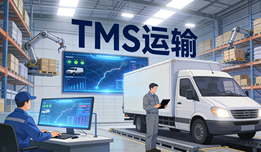 20251218flxyTMS系统哪个好用？五大关键场景下的深度评测与选型建议