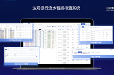达观银行流水审核工具：智能流水<dptag>查</dptag><dptag>询</dptag>与分析