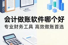会计做账软件哪个好?2026全场景实测:<dptag>财</dptag><dptag>务</dptag>效率翻倍+税<dptag>务</dptag>低风险