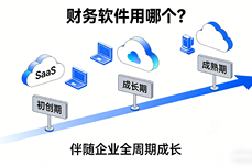 财务软件用哪个好？国内最受欢迎的3款盘点，老板和<dptag>会</dptag>计都认可