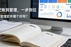 <dptag>财</dptag><dptag>务</dptag><dptag>管</dptag><dptag>理</dptag><dptag>软</dptag><dptag>件</dptag>哪个好用？票<dptag>财</dptag>税一体化智能<dptag>软</dptag><dptag>件</dptag>深度评测