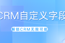 解锁悟空CRM潜力：深入探索自<dptag>定</dptag>义<dptag>字</dptag>段的无限可能