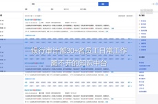 大语言模型在<dptag>企</dptag><dptag>业</dptag>内部审<dptag>计</dptag>中的实践分析