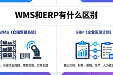 WMS和ERP有什么<dptag>区</dptag>别？<dptag>企</dptag><dptag>业</dptag>选型不踩坑指南