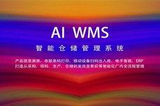 WMS仓储<dptag>管</dptag><dptag>理</dptag>系统上架拣货的<dptag>流</dptag><dptag>程</dptag>及价值是什么？