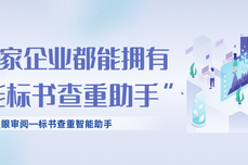 火眼审阅——让每家企业都能拥有自己的“智能标书查重助手”