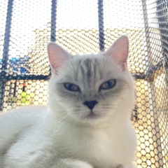 個人頭像