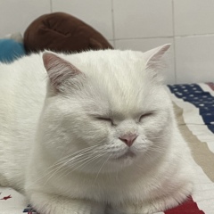 個人頭像